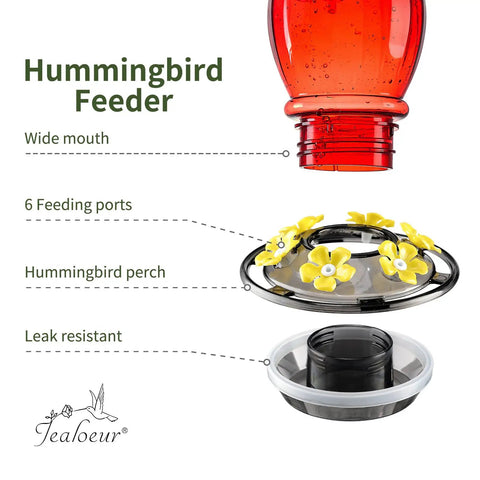 Diagram of Outdoor Hummingbird Feeder 18 Oz with 6 Bee Guard Ports, built-in ant moat, and easy clean durable unbreakable material.