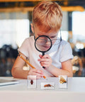 Child examining Nine Insect Resin Specimen Set With 9 Unique Bugs, Kid-Friendly Paperweights And Educational Classroom Decor with magnifier.
