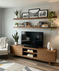 Living room with Heavy Duty 12 Pack 6 Inch Invisible Floating Shelf Brackets For Wood Walls showcasing plants and books.