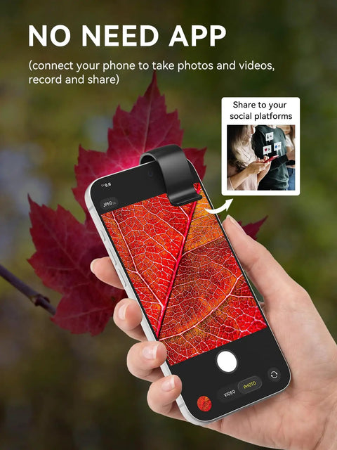 Pocket Phone Microscope 200X With LED Light And CPL Filter, Camera Attachment For iPhone And Android, No App Needed, on phone viewing a red leaf close-up