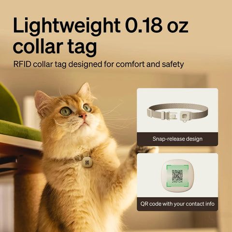 Cat wearing RFID collar tag for RFID Cat Feeder With Collar Tag Sensor For Personalized Meals, Cat Recognition, Diet Tracking And Anti Theft In Multi Pet Homes, Smart WiFi Programmable Food Dispenser
