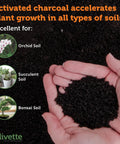 Hand holding Premium Olive Derived Activated Charcoal For Plants Biochar Soil Booster for Terrariums and Potted Plants Moisture Control.