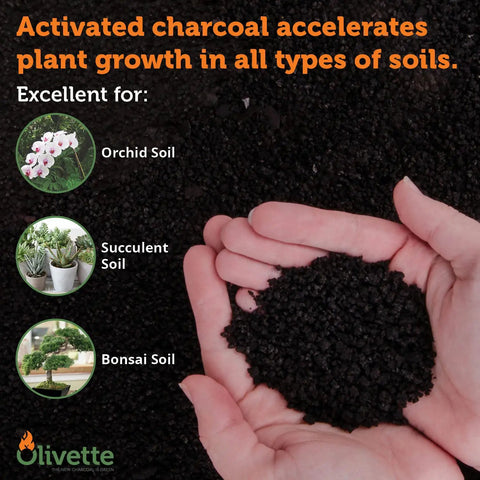Hand holding Premium Olive Derived Activated Charcoal For Plants Biochar Soil Booster for Terrariums and Potted Plants Moisture Control.