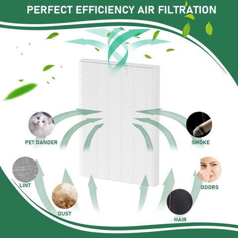 Diagram of AeraMax 300 True HEPA Replacement Filter 3 Pack filtering pet dander, smoke, odors, lint, dust, and hair