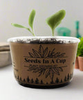 All In One Plant Growing Kit for Indoor Garden With 60 Plus Varieties Including Basil Lettuce Tomatoes And Strawberries Recyclable