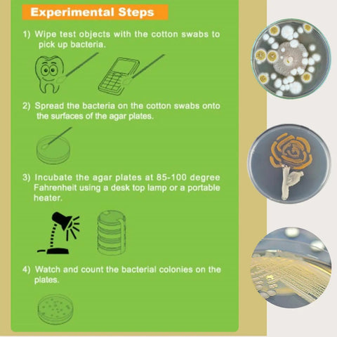 Experimental steps for Science Fair Ready Bacteria Kit With Pre Poured LB Agar Plates And Cotton Swabs Includes Free E Book.