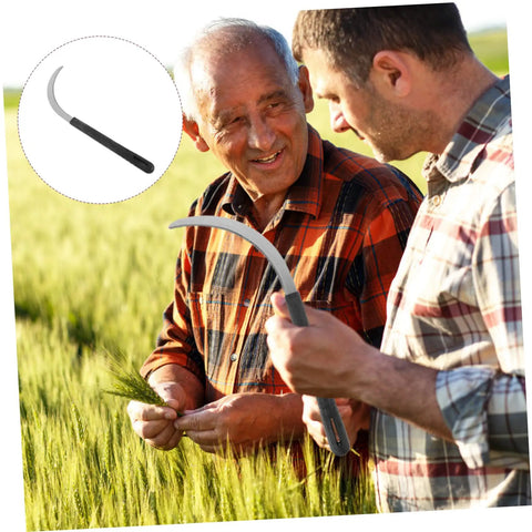 Two men using Five Piece Rustproof Garden Sickle Set For Weeding And Harvesting With Comfortable Grip Handles in a wheat field.