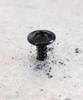 Top Shelf Black Truss Head Self Tapping Screw Kit With Assorted Lengths Half Inch To Two Inches Built Like A Tank From 410 Stainless Steel, black self-tapping screw on a surface.