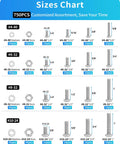 Size chart for All In One 750 Piece Nuts And Bolts Hardware Kit With Stainless Steel Pan Head Phillips Screws, Washers And Nuts.