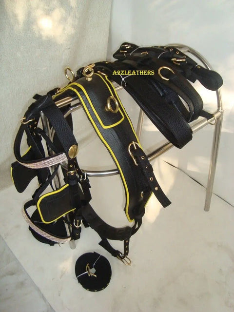 Black Synthetic Nylon Horse Driving Harness With Yellow Piping Diamond Chains On Browband And Noseband Curved Blinders