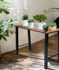 Coffee table with 20 Inches Metal Coffee Table Legs Set Of 2 With Pre Drill Holes Industrial Black supports, wooden top, plants.