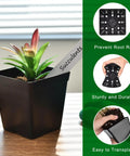 60 Count Square Nursery Pots 3.3 Inch With Drain Holes Seed Starter Tray Kit Includes 5 Trays And 60 Plant Labels In Black