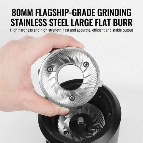 80mm Flat Burr Coffee Grinder with stainless steel flat burrs being held above the grinder, designed for precise grinding.