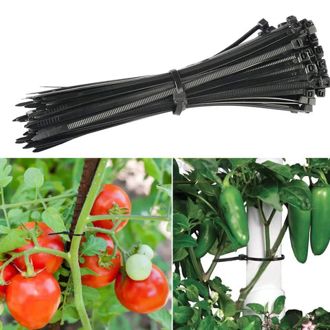 100 Pcs 8 Inch Heavy Duty Zip Ties 40 Lbs Tensile Strength Releasable And Reusable Nylon PA66 Self Lock Cable Ties shown with plants.