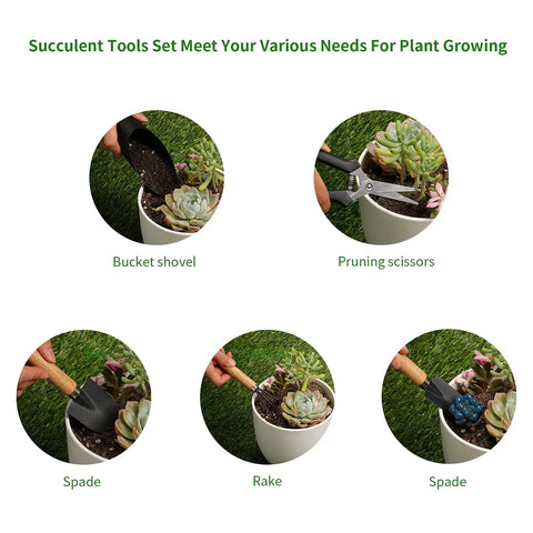 Mini Succulent Garden Tools Set With Shovel Spade Rake And Pruning Scissors Plus Plastic Bucket Shovel for seedlings and soil care