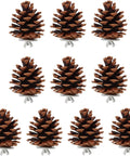 10 Pack Real Pine Cone Bird Chew Toys With Sturdy Mounting Nuts For Parakeets Cockatiels And Budgies arranged in a row.