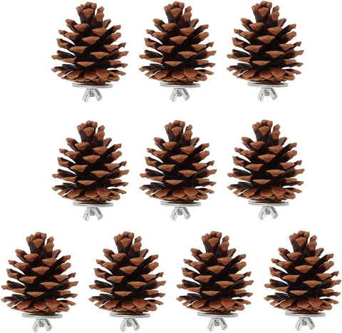 10 Pack Real Pine Cone Bird Chew Toys With Sturdy Mounting Nuts For Parakeets Cockatiels And Budgies arranged in a row.