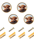 Four Pack Highland Cow Sunflower Gold Cabinet Knobs with dual screws, featuring a playful cow design and scratch-resistant print