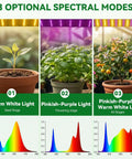 Three light color modes for indoor mini greenhouse with grow lights and timer for seed starting, seedling to all growth stages.