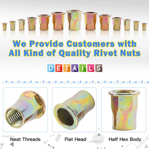 230 Piece Rivet Nut Kit M3 Through M12 with Half Hex Body Flange Rivet Nuts Zinc Plated Carbon Steel shown in different sizes