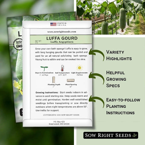 Luffa Gourd Seeds For Planting Non GMO Heirloom Pack Grow Your Own Loofah Sponge At Home Easy To Grow Garden Seed Packet