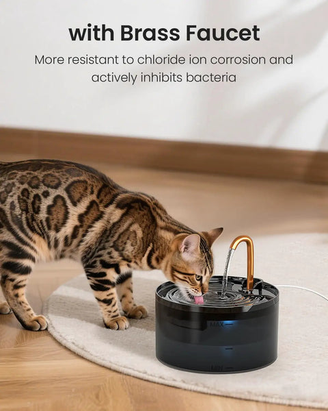 Cat drinking from Cat Water Fountain With Copper Faucet, 71oz 2.1L Automatic Pet Hydration Dispenser, plastic bowl on floor.