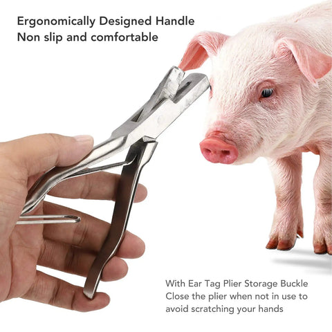 Stainless Steel Ear Tag Plier for Livestock Identification With V Shape Notcher and pig, ergonomic handle in use