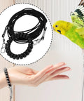Ultra Lightweight Bird Flight Leash For Parrots Pigeons And Budgies Three Meter Training Rope displayed with flying budgie.