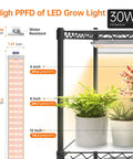 Indoor Greenhouse With Grow Lights And 6 Tier Plant Shelf On Wheels 150W Full Spectrum Grow Lights With 3 Color Modes