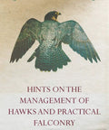 Book cover of 'Hints on the Management of Hawks and Practical Falconry' with a hawk illustration. Practical Falconry Guide For Hawk Management And Handling Hands On Real World Tips To Care Train And Master Your Bird Of Prey Like A Pro For Beginners And Seasoned Handlers.