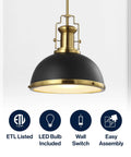 Modern Industrial 13 Inch Black And Brass Gold LED Dome Pendant Light With Adjustable Hanging Fixture for kitchen or entryway