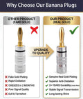 Comparison of Pro Grade 24K Gold Plated Banana Plugs For 4MM Speaker Wire Connectors showing quality differences in gold finish.