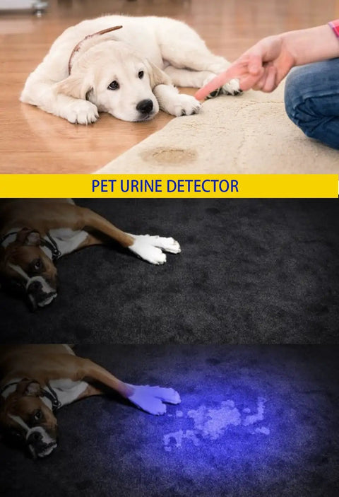 365 Nanometer UV Wood's Lamp Blacklight Flashlight Portable Handy Pocket Size Torch For Detecting Pet Stains And Dog Urine, Fluorescent Security Codes And Resin Curing, Anti Counterfeit Verification
