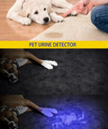 Dog urine detected using 365Nm and 395Nm ultraviolet flashlight on carpet, highlighting stain under blacklight LED torch.