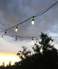 String lights hanging outdoors against a cloudy evening sky, creating a warm, inviting ambiance in a garden setting.