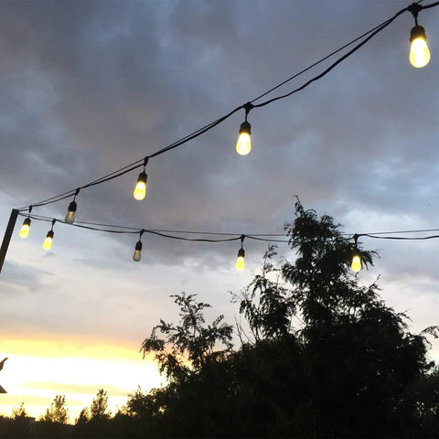 String lights hanging outdoors against a cloudy evening sky, creating a warm, inviting ambiance in a garden setting.