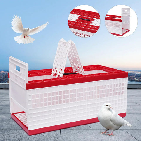 Racing Pigeon Carrier Box For Bird Training With Two Side Doors And Two Top Doors Injection Molded Plastic Cage displayed outdoors.