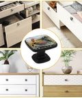 4 Pack Square Kitchen Cabinet Knobs Sunflower Rooster Design Dope Black Glass ABS Drawer Pulls in various furniture settings