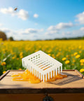 Queen Marker Cage Clip For Beekeeping Plastic Queen Catcher Tool with honey in field