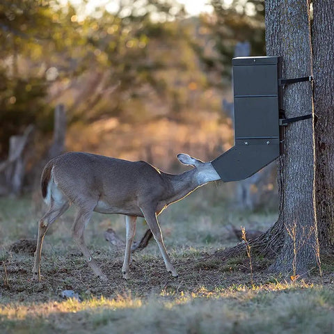 EZ Deer Tree All Season Protein Feeder In Green Hides And Dispenses Corn Rice Bran Nut Blocks Efficiently Keeps Wildlife Attractants Fresh Safe For Your Farm Yard Setup Easy Install Design