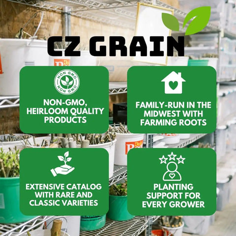 CZ Grain greenhouse shelves with non-GMO heirloom quality products and support for growers, family-run business.