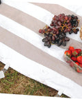 Picnic setup with grapes and strawberries on a cloth secured by Six Pieces Gold Rectangle Tablecloth Weights Clips For Outdoor Tables.