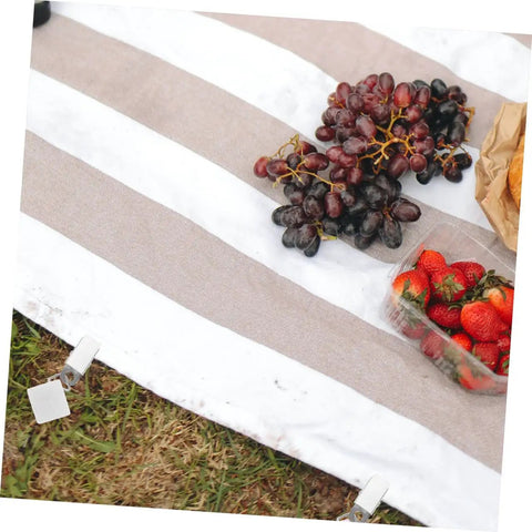 Picnic setup with grapes and strawberries on a cloth secured by Six Pieces Gold Rectangle Tablecloth Weights Clips For Outdoor Tables.