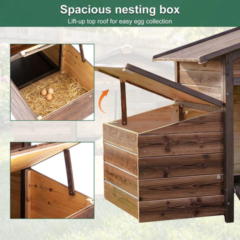 Spacious Wooden Chicken Coop With Two Nesting Boxes For Your Backyard Flock showing lift-up roof and egg collection.