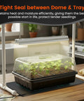 Three Pack Seed Starter Trays With Five Inch Humidity Domes, 144 Cells Total, Seedlings Under Dome in Kitchen