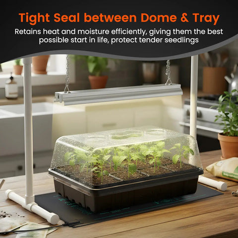 Three Pack Seed Starter Trays With Five Inch Humidity Domes, 144 Cells Total, Seedlings Under Dome in Kitchen