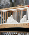 White pigeons in a wooden crate, ideal for Racing Birds House Door Reinforced Movable Cage Entrance For Training Easy Install Bird Cage Door