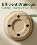 Bottom view of biodegradable peat pot showing drainage holes, part of 20 Pack 5 Inch Biodegradable Peat Pots With 20 Plant Labels.