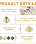 Top Tier Brass Chicago Screw Rivets M4x25mm Phillips Head Studs For DIY Leather Belts Bags Wallets 10 Pack Set showing detailed fastener features.