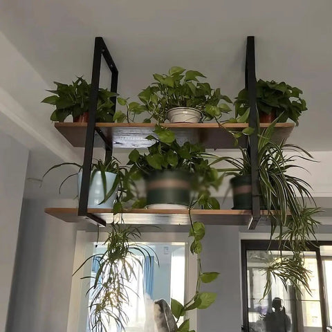 Legit Heavy Duty Floating Shelf Brackets Two Tier Industrial Pipe Wall Mount Brackets Built Like A Tank With Rust Resistant Finish supporting plants.